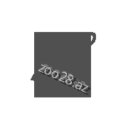 Sürətli çatdırılma