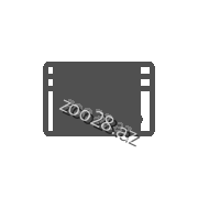 Təhlükəsiz Onlayn Ödəniş