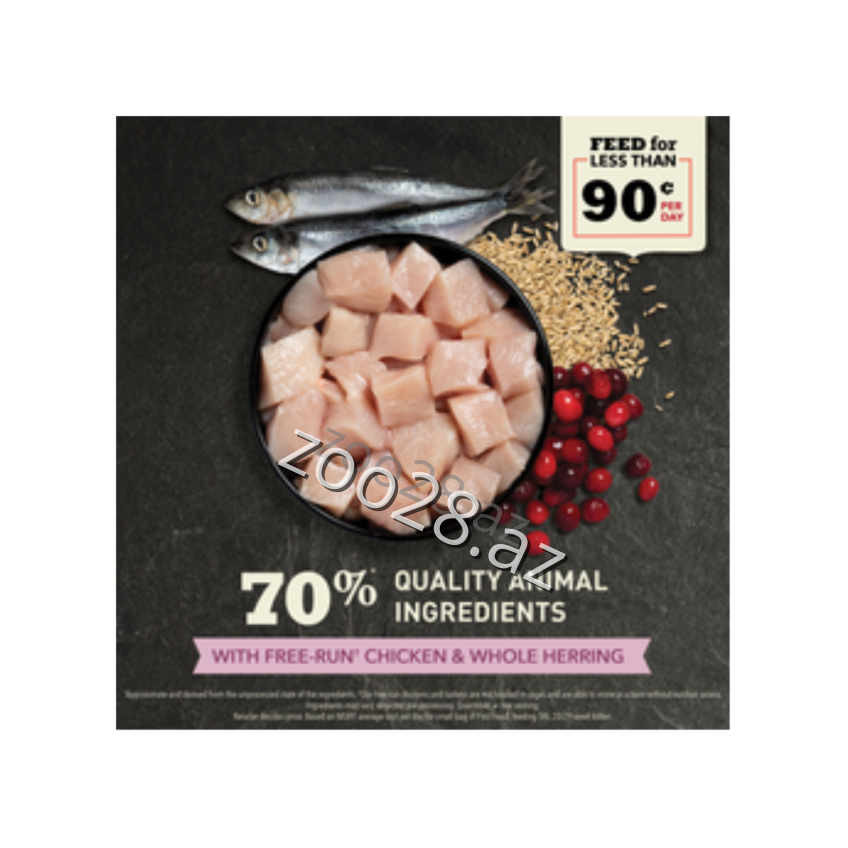 Acana First Feast Dry Food for Kittens, 1.8 kg - Cats - Photo 2