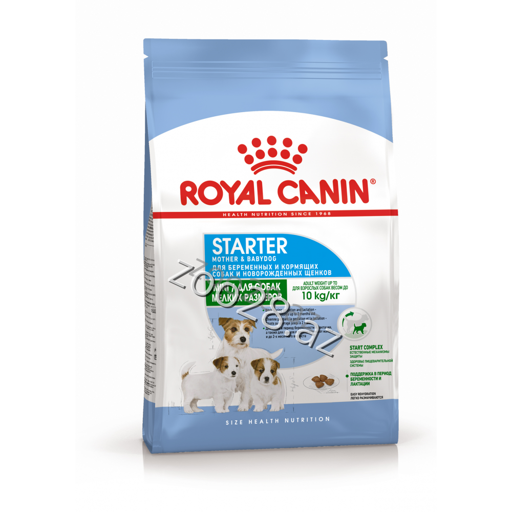 Royal Canin Mini Starter - Dogs | Zoo28.az