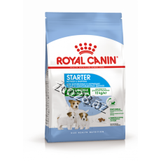 Royal Canin Mini Starter