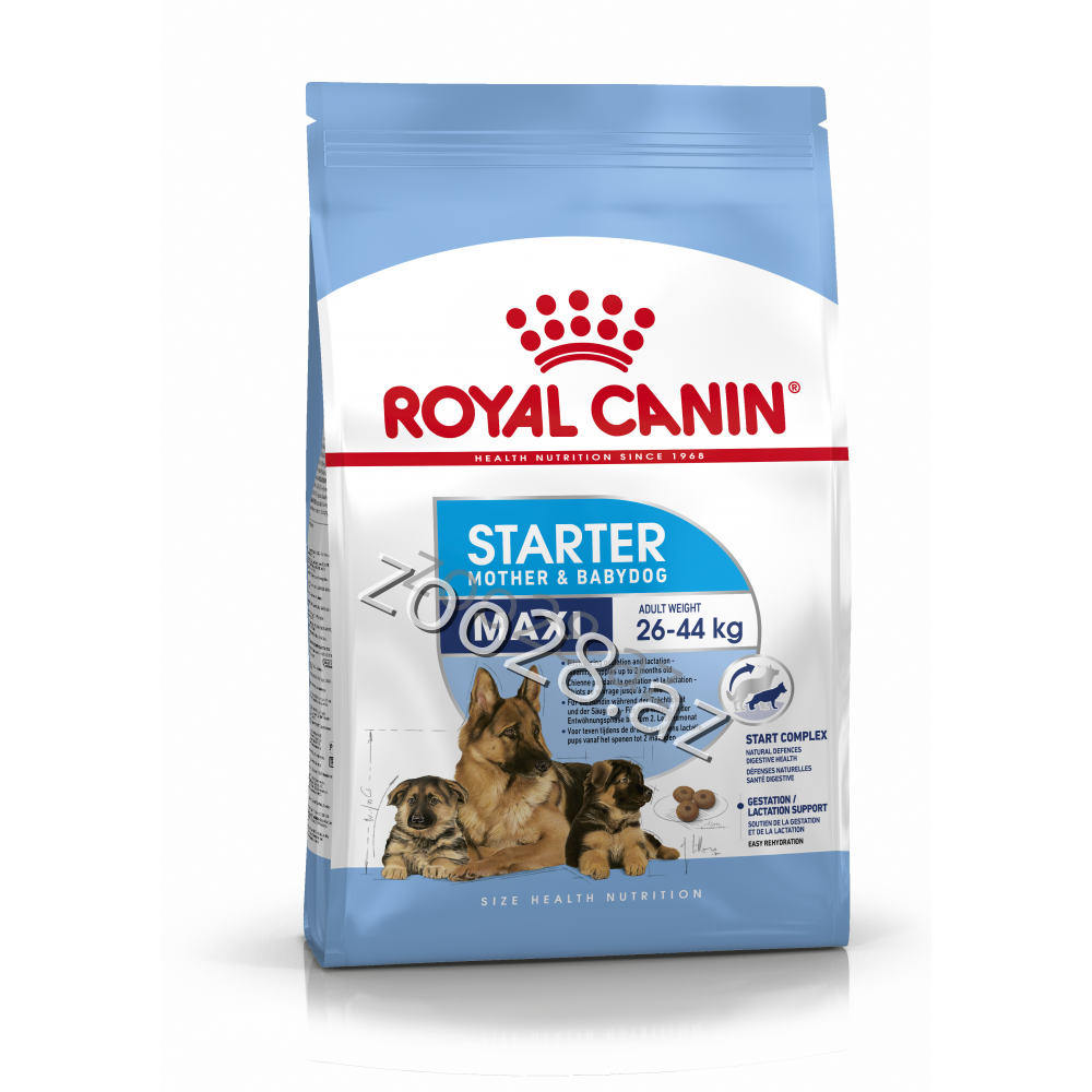 Royal Canin Maxi Starter - Dogs | Zoo28.az