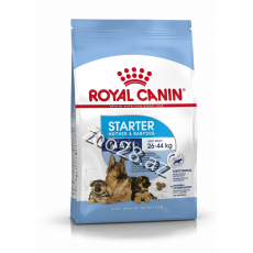 Royal Canin Maxi Starter - İtlər
