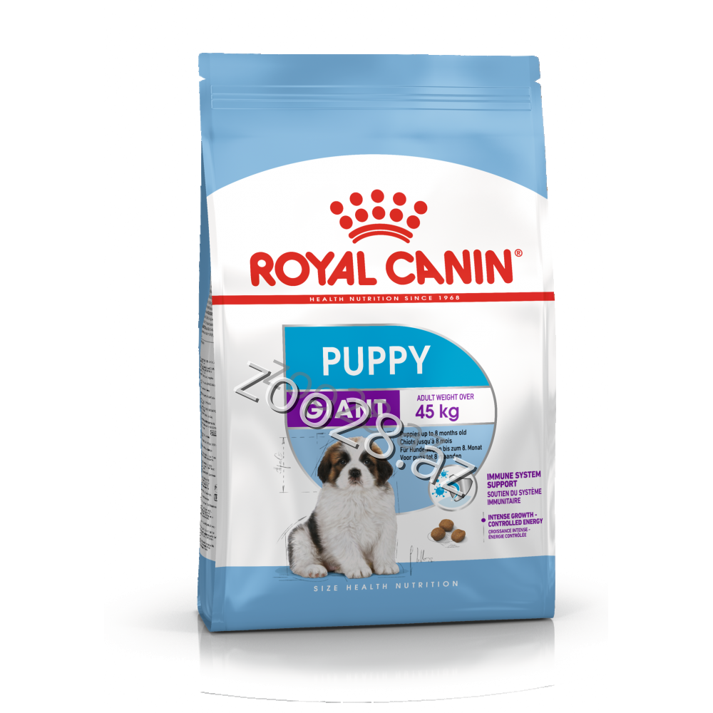 Royal Canin Giant Puppy - Собаки | Zoo28.az