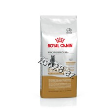 Royal Canin British Shothair