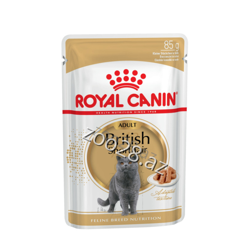 Royal Canin British Gravy For British Mature Cats - Cats | Zoo28.az