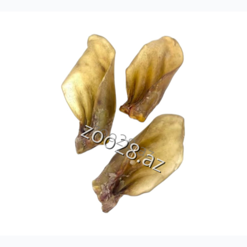 Trixie Ears with Numbers - Dogs | Zoo28.az