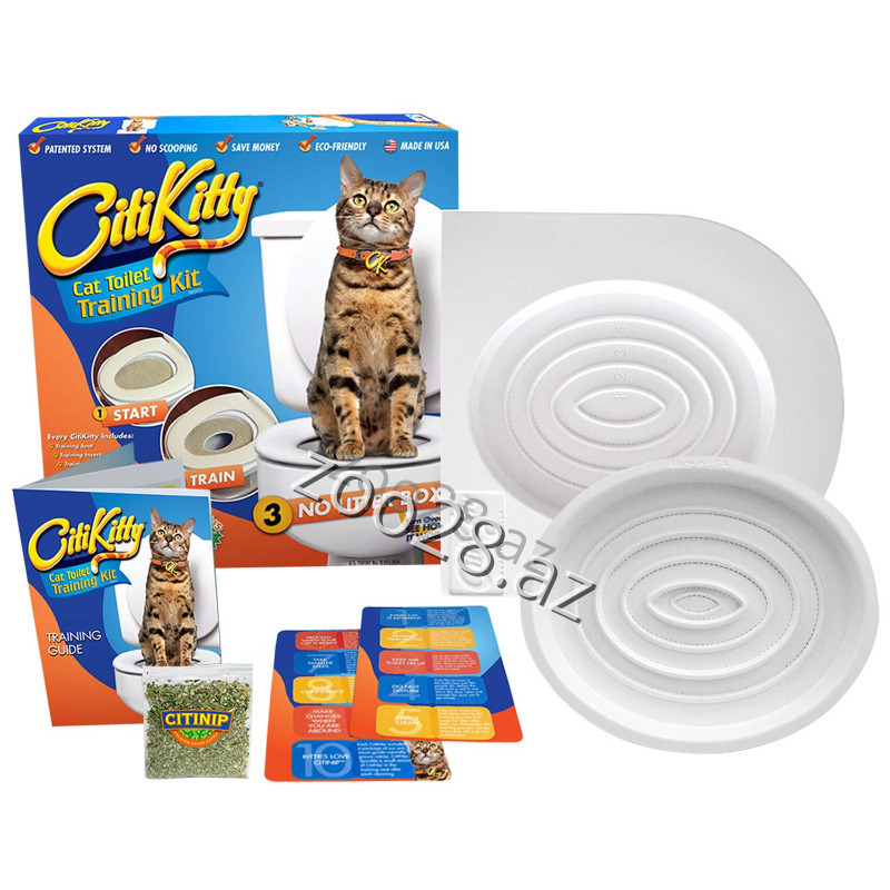Citi Kitty Tualet Təlimi - Pişiklər | Zoo28.az