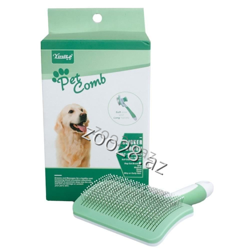 YinGT Daraq - İtlər | Zoo28.az