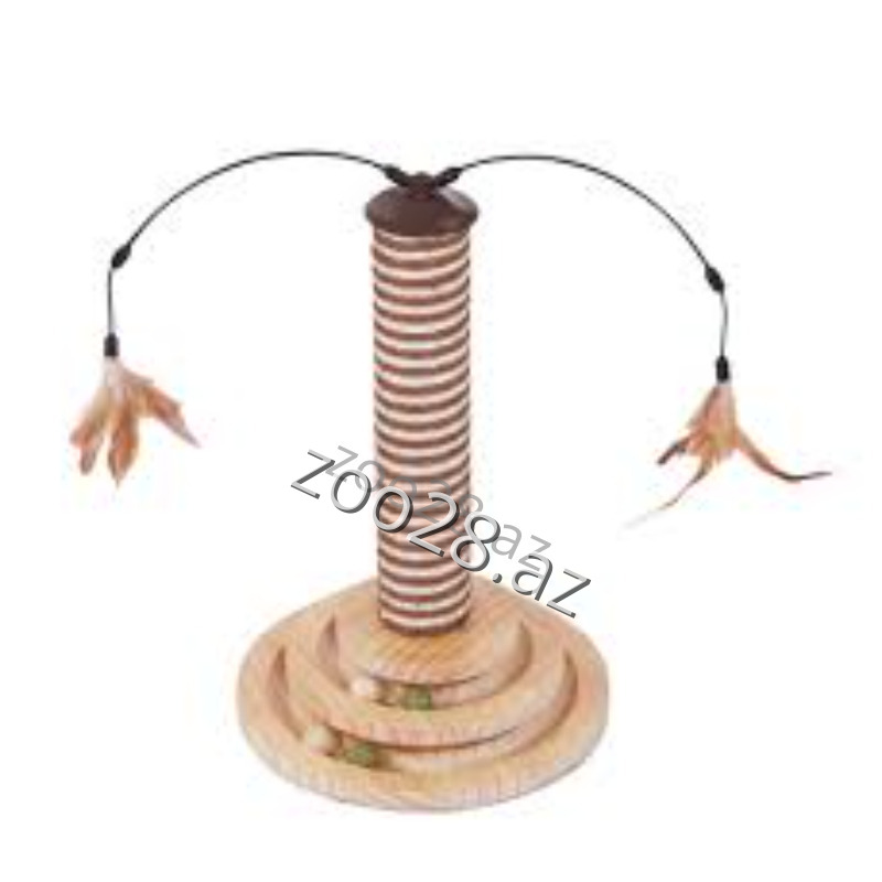 Dırnaqyonan 097-299 - Pişiklər | Zoo28.az