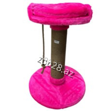 Zoo Mir Kompleks Dırnaqyonan - Pişiklər