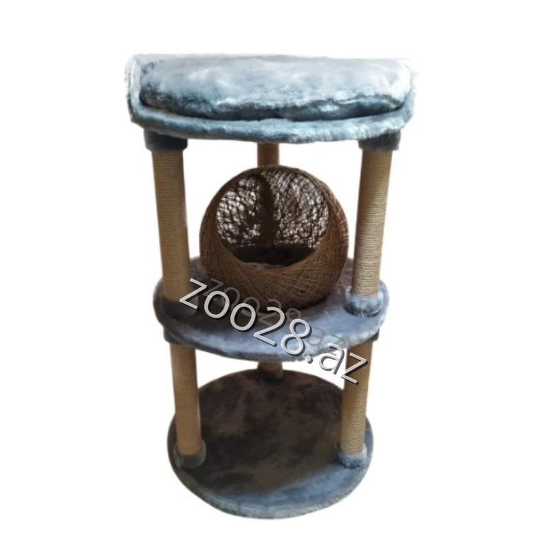 Zoo Mir Kompleks Dırnaqyonan Şar - Pişiklər | Zoo28.az