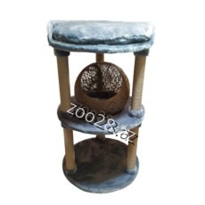 Zoo Mir Kompleks Dırnaqyonan Şar - Pişiklər