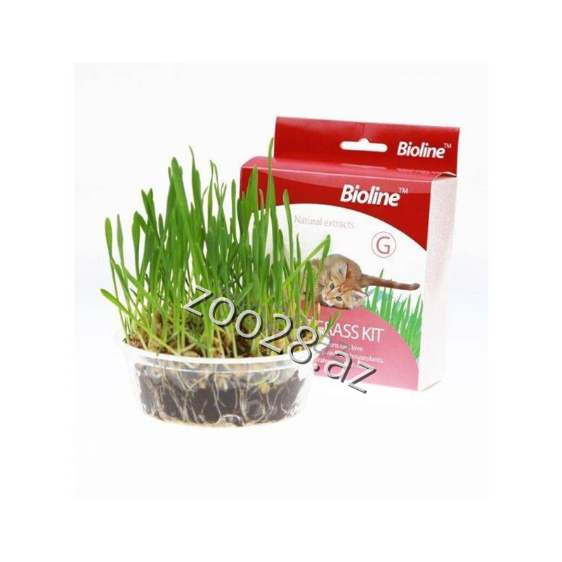Bioline Cat Grass Kit - Pişiklər | Zoo28.az