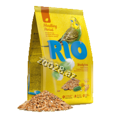 Rio Budgies Moulting Period - Quşlar