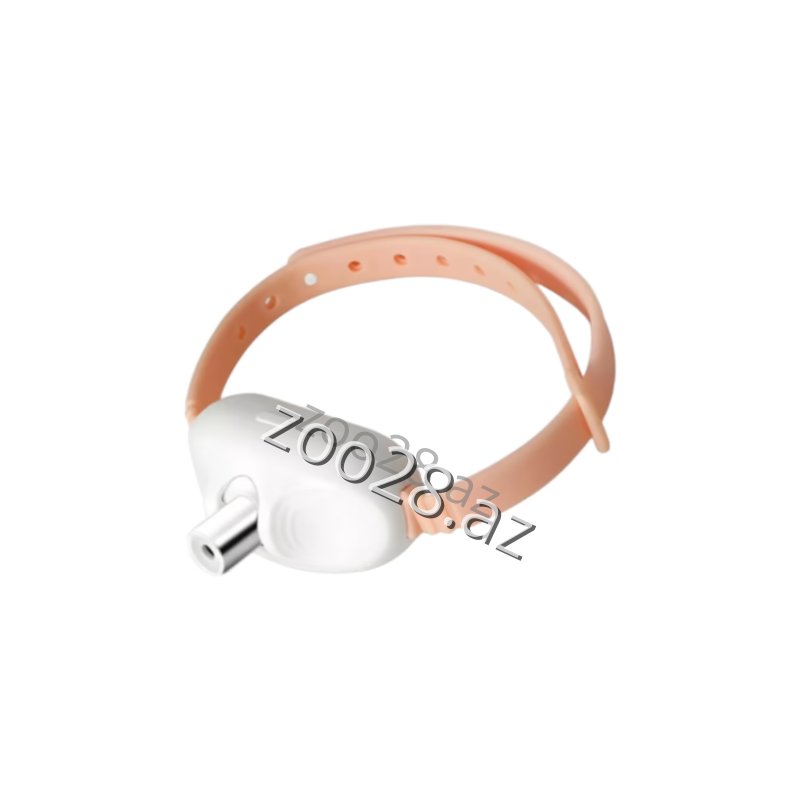 Lazer Xalta 2503-291 - Pişiklər | Zoo28.az