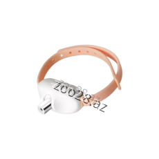 Lazer Xalta 2503-291 - Pişiklər