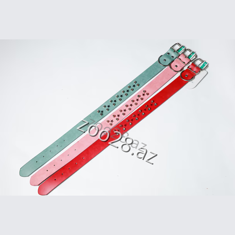 Xalta 57-1 - İtlər | Zoo28.az