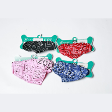 Xalta Qalstuq - Pişiklər