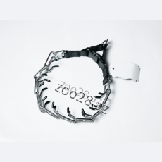 Xalta Təlim #3 - İtlər