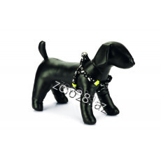 Beeztees Sinəlik Naxılşlı