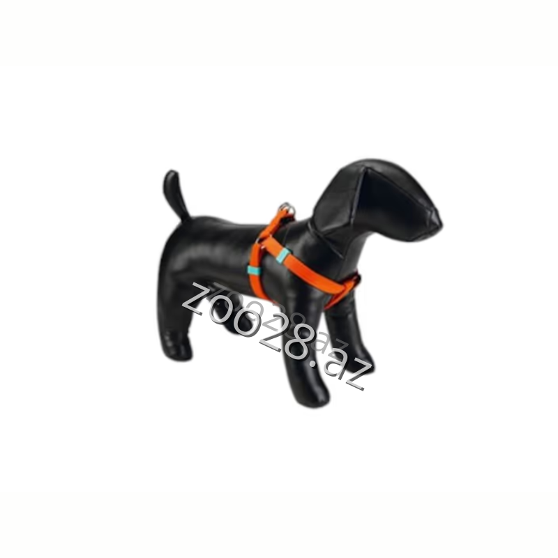 Beeztees Chest Harness #3 - Dogs | Zoo28.az