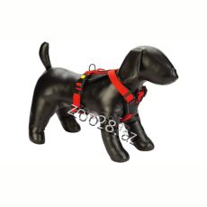 Beeztees Sinəlik #6 - İtlər