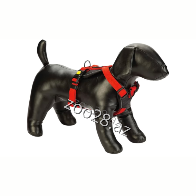 Бизтисс Грудной Упряжь #6 - Собаки | Zoo28.az