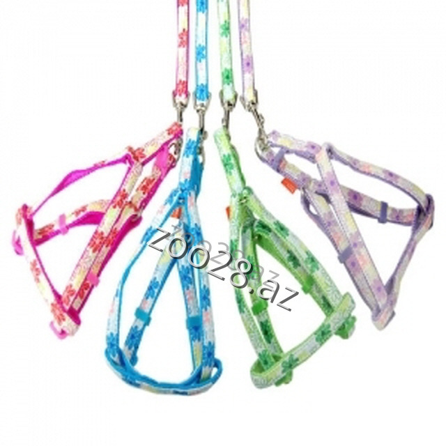 Sinəlik + Qayış 3-1 - İtlər | Zoo28.az