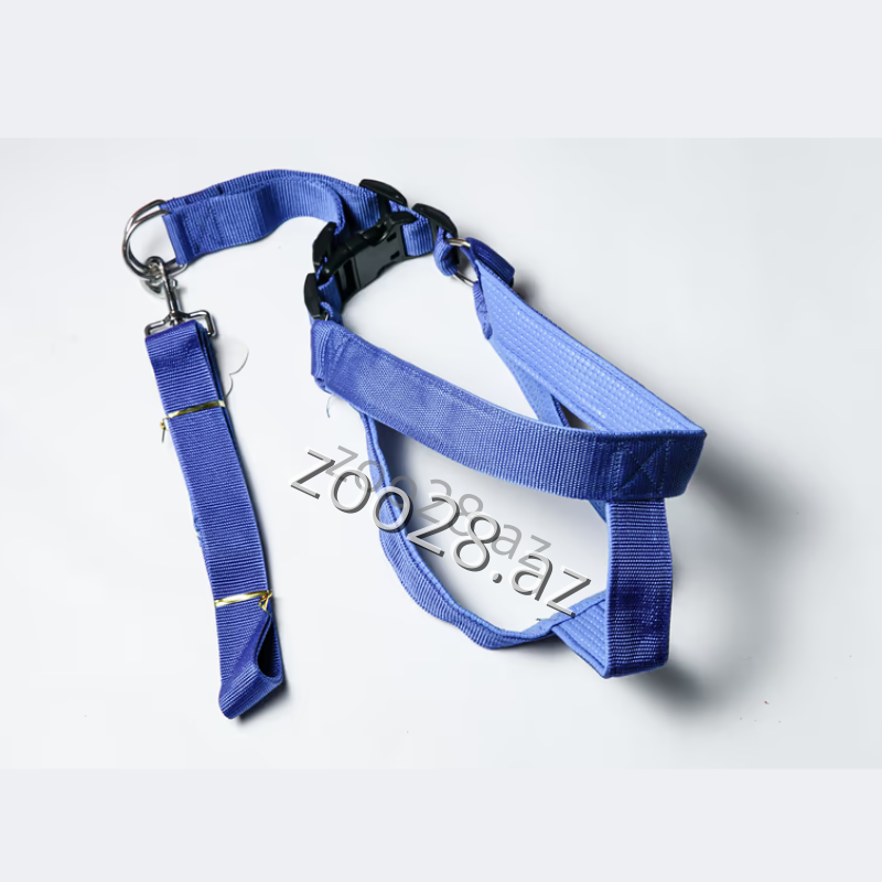 Chest Harness + Leash 813 - Dogs | Zoo28.az