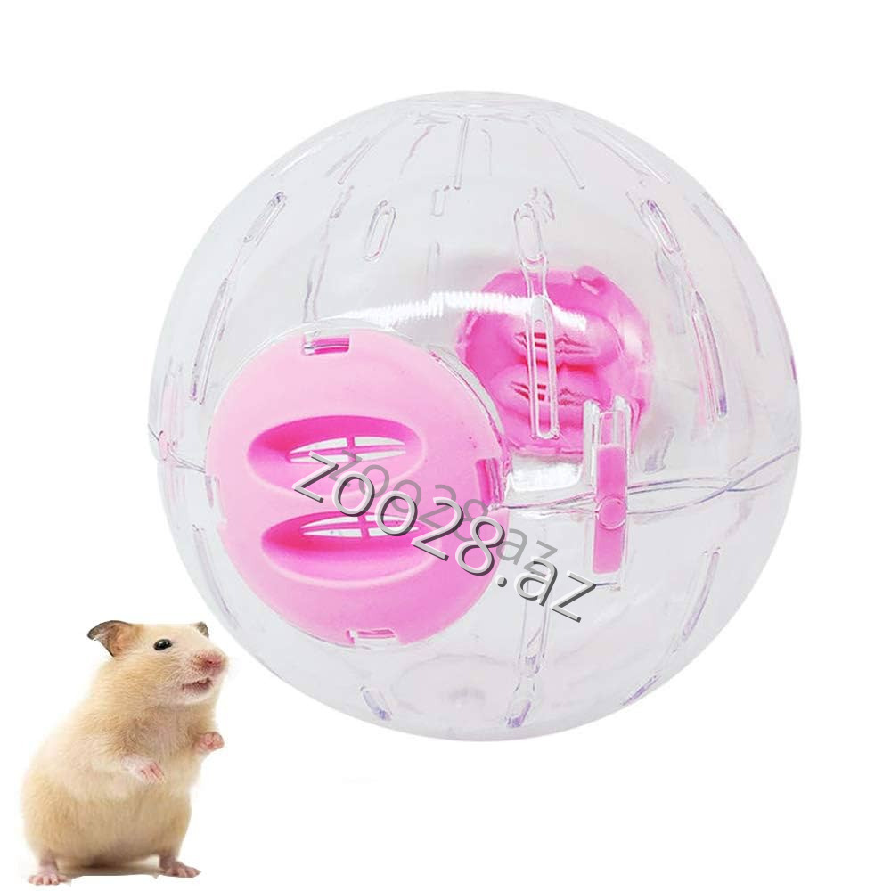 Crystal Ball For Hamster - Gəmiricilər | Zoo28.az