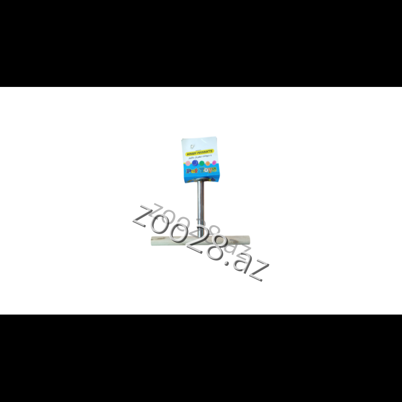 Asılqan Tünək - Quşlar | Zoo28.az