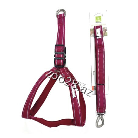 Sinəlik + Qayış Nunbell 2503-38 - İtlər | Zoo28.az