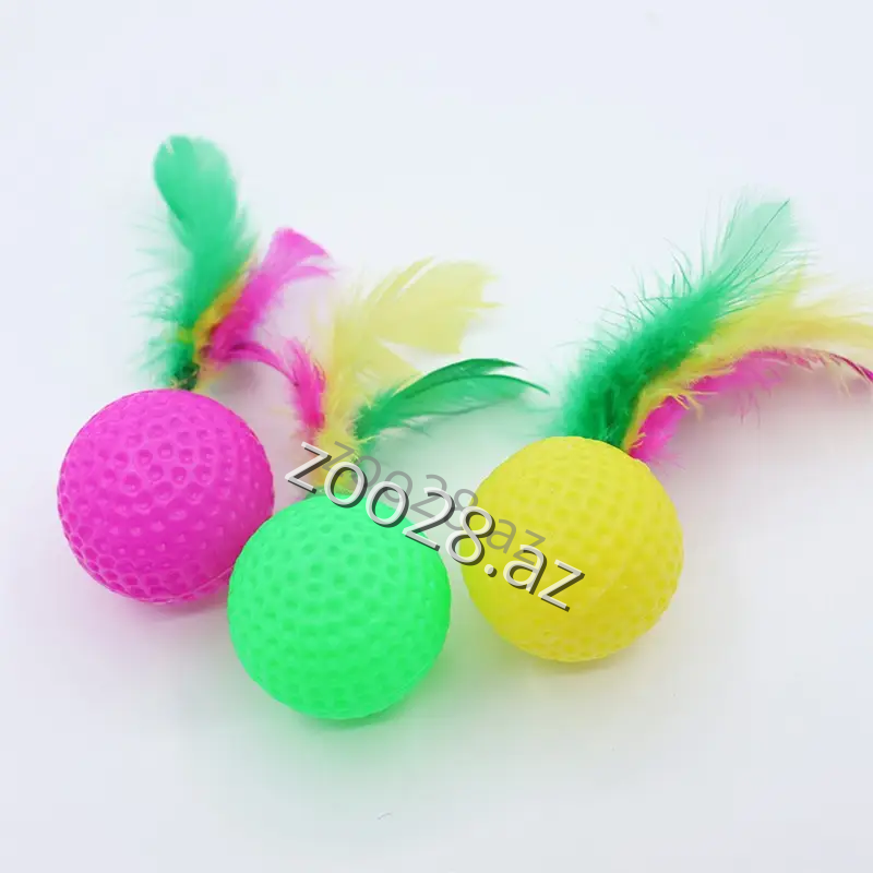 Oyuncaq B 4-1 - Pişiklər | Zoo28.az