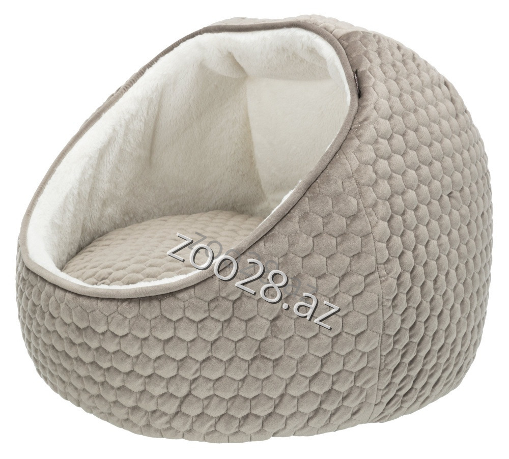 Trixie Livia Yuva - İtlər | Zoo28.az