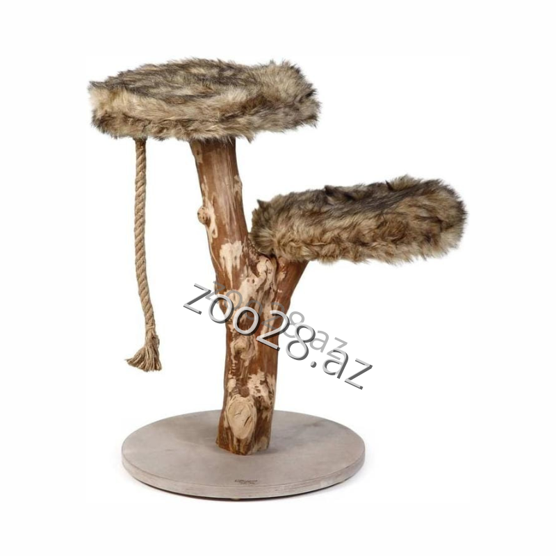 Designed By Lotte "Aviva" - Pişiklər | Zoo28.az