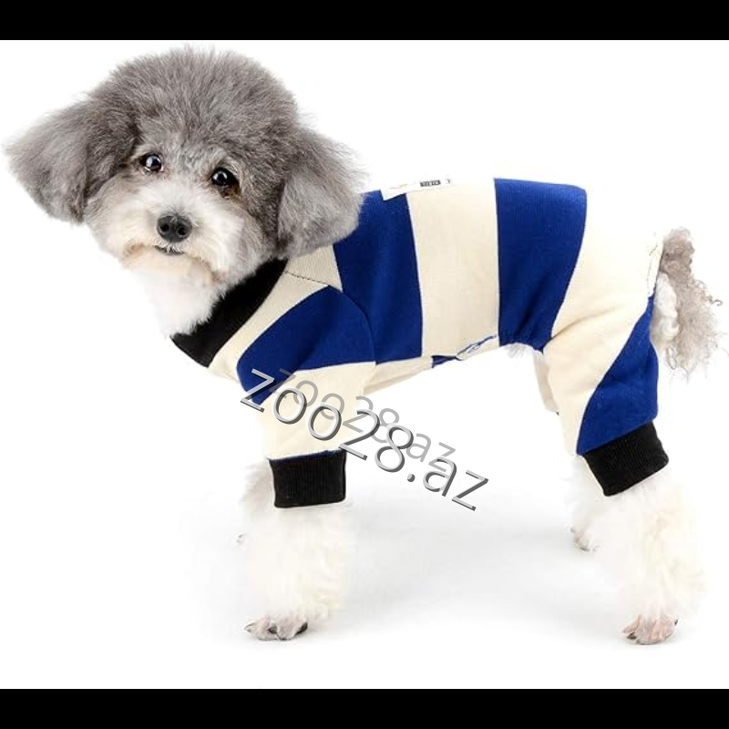 Dadagou P30 - İtlər | Zoo28.az