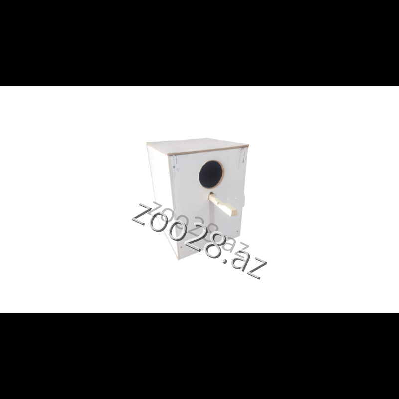 Quş Yuvası SM - Quşlar - Şəkil 2