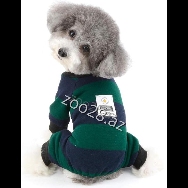 Dadagou P30 - İtlər - Şəkil 2