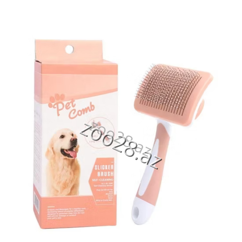 YinGT Daraq - İtlər - Şəkil 2