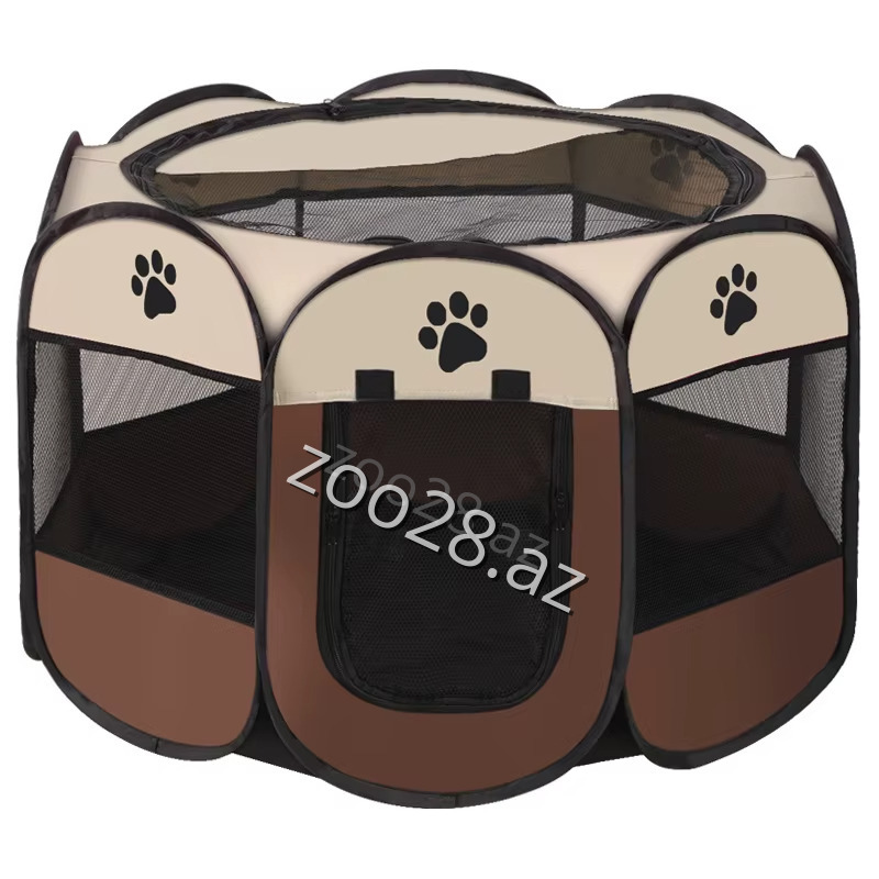 Мэнедж Парча - Кошки - Фото 2