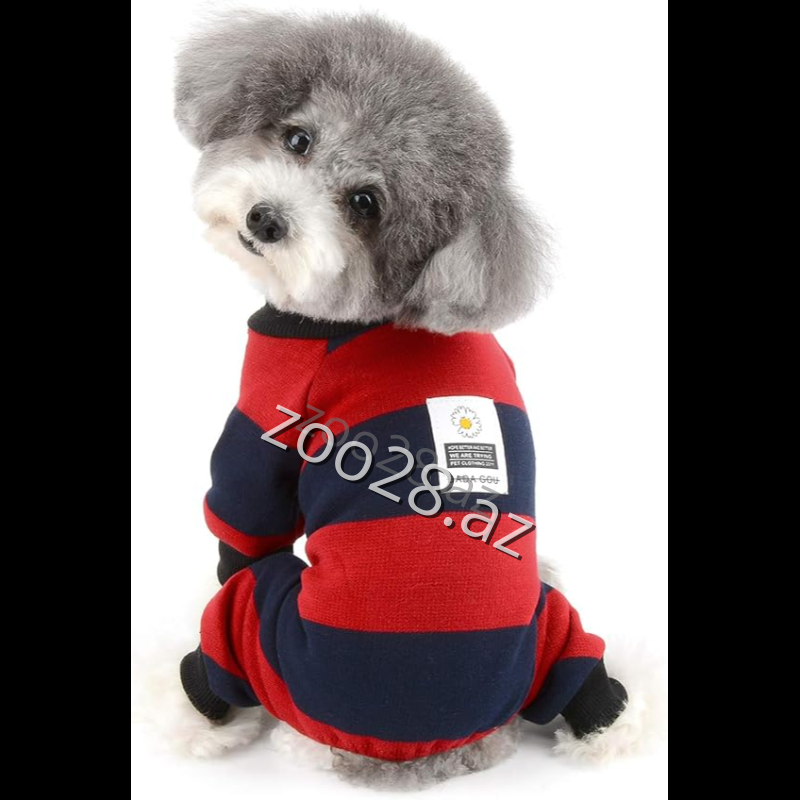 Dadagou P30 - İtlər - Şəkil 3