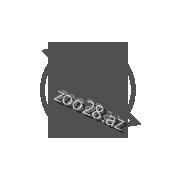 Гарантия возврата денег