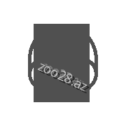 Поддержка клиентов