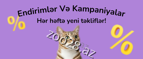 Zoo28.az aksiya