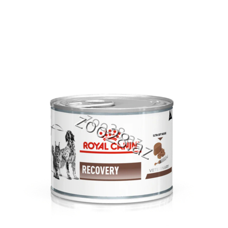 Royal Canin Recovery Pate for Cats and Dogs in Recovery, 195 gr - Cats - Photo 2