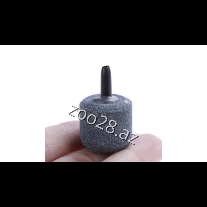 Hava Daşı,1 ədəd - Рыбы - Фото 2