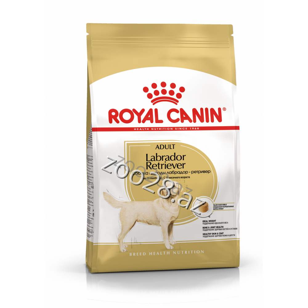 Royal Canin Labrador Retriver Adult - Собаки | Zoo28.az
