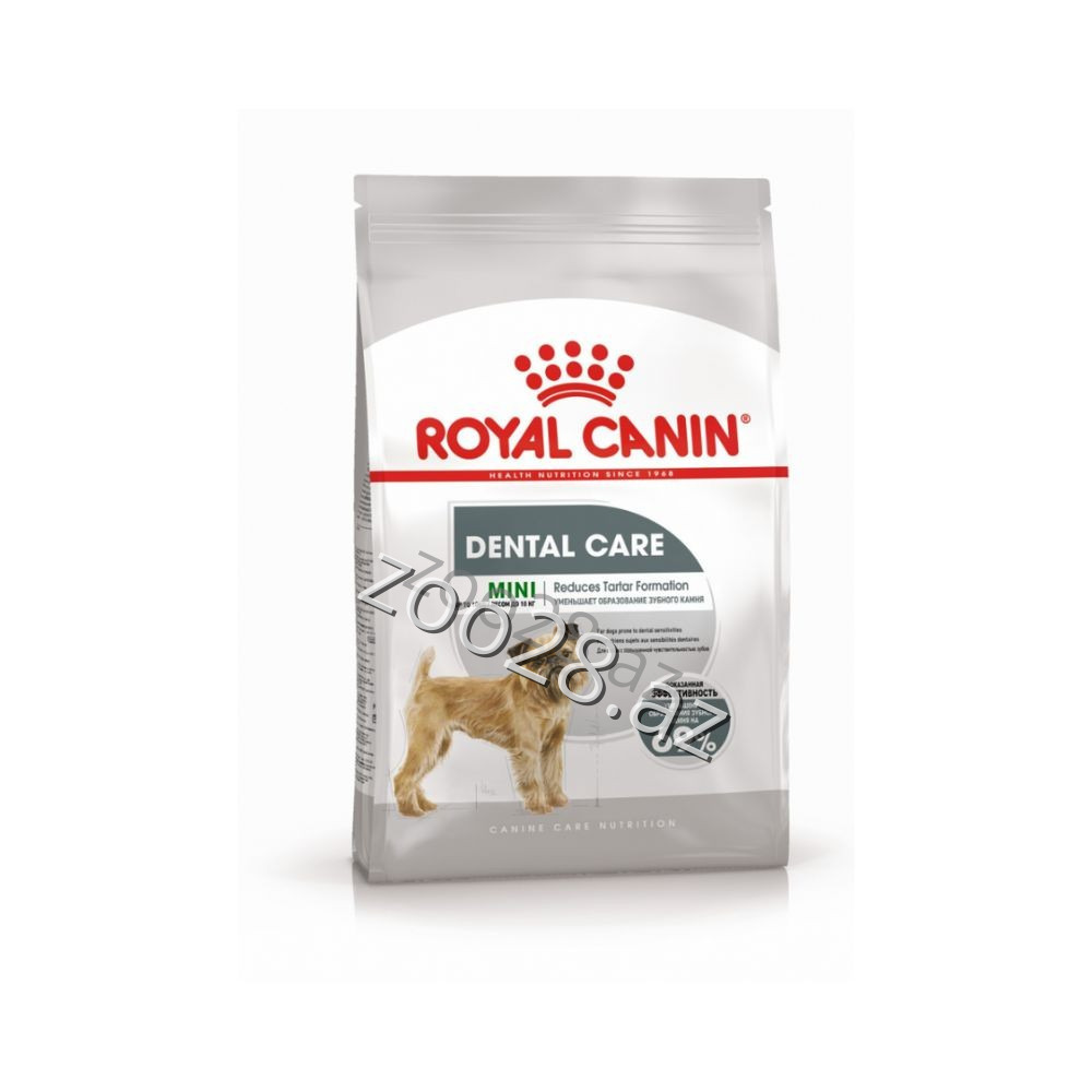 Royal Canin Mini Dental Care 1kg - İtlər | Zoo28.az