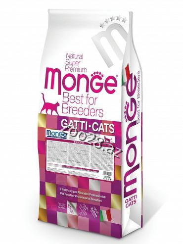 Monge Indoor High-Quality Cats - Cats | Zoo28.az